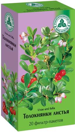 Фото Толокнянки листья, пакетики 1.5 г, 20 шт.