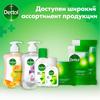 Фото Деттол, антибактериальное жидкое мыло с ароматом грейпфрута, 250 мл