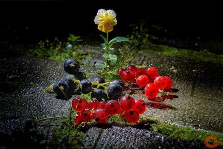 Фото Целестодерм В с гарамицином, мазь, 15 г