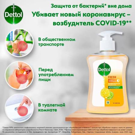 Фото Деттол, антибактериальное жидкое мыло с ароматом грейпфрута, 250 мл Фото Деттол, антибактериальное жидкое мыло с ароматом грейпфрута, 250 мл