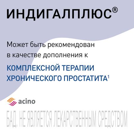 Фото Индигалплюс, капсулы 500 мг, 120 шт.