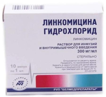 Фото Линкомицина гидрохлорид, раствор 300 мг/мл, ампулы 1 мл, 10 шт.