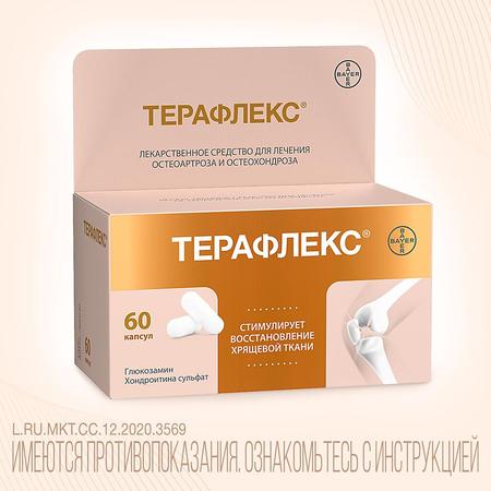 Фото Терафлекс, капсулы 500 мг+400 мг, 60 шт.