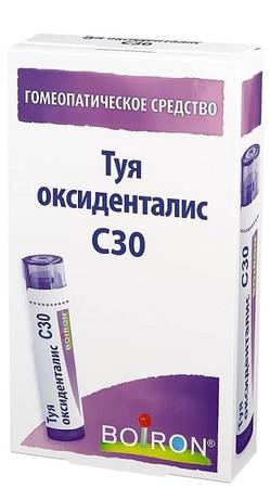 Фото Туя оксиденталис С30, гранулы, 4 г Фото Туя оксиденталис С30, гранулы, 4 г