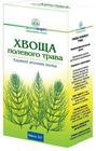 Фото Хвощ полевой