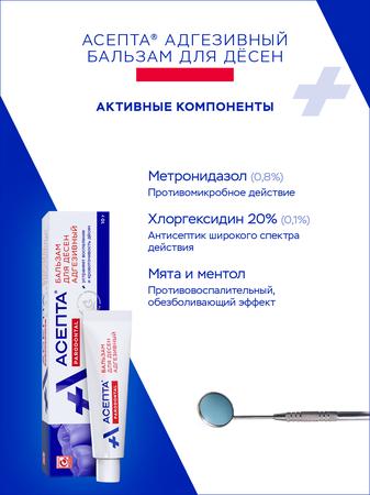Фото Асепта, бальзам для десен адгезивный, 10 г